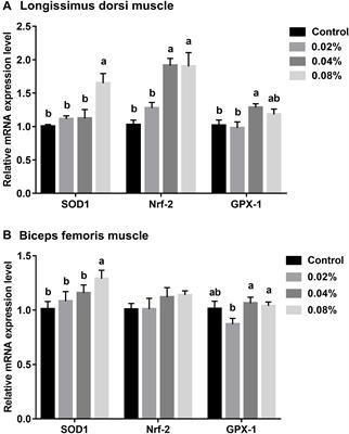 Dietary Supplementation With Chlorogenic Acid Derived From Lonicera macranthoides Hand-Mazz Improves Meat Quality and Muscle Fiber Characteristics of Finishing Pigs via Enhancement of Antioxidant Capacity